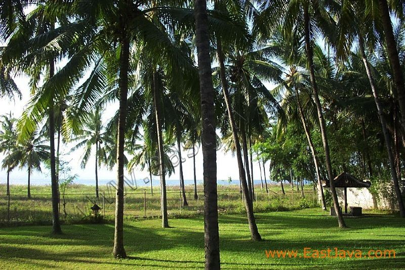 pasir_putih_beach_si_3c2724.jpg