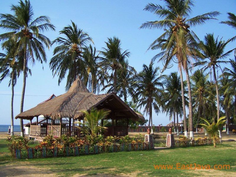 pasir_putih_beach_situbondo.jpg