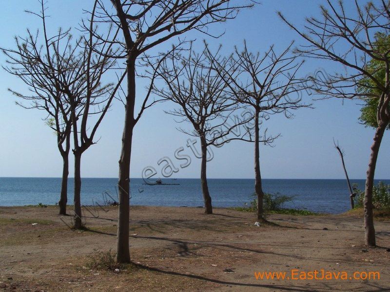 pathek_beach_situbondo_2.jpg