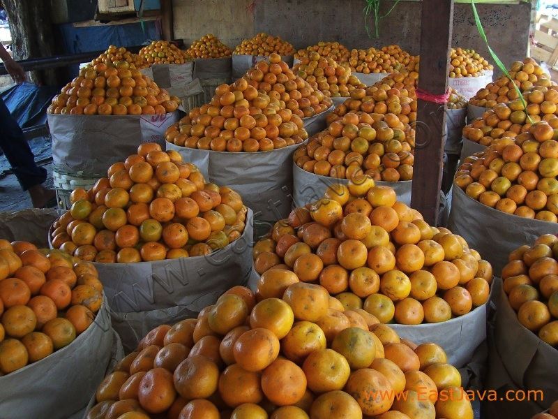 peneleh_fruit_market_3d3b3a.jpg
