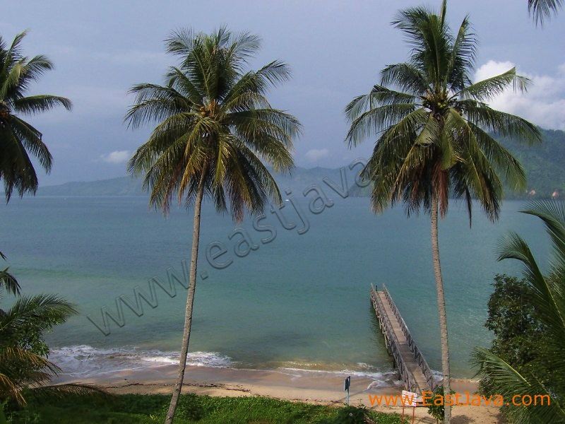 karanggongso_beach_t_3c28ce.jpg