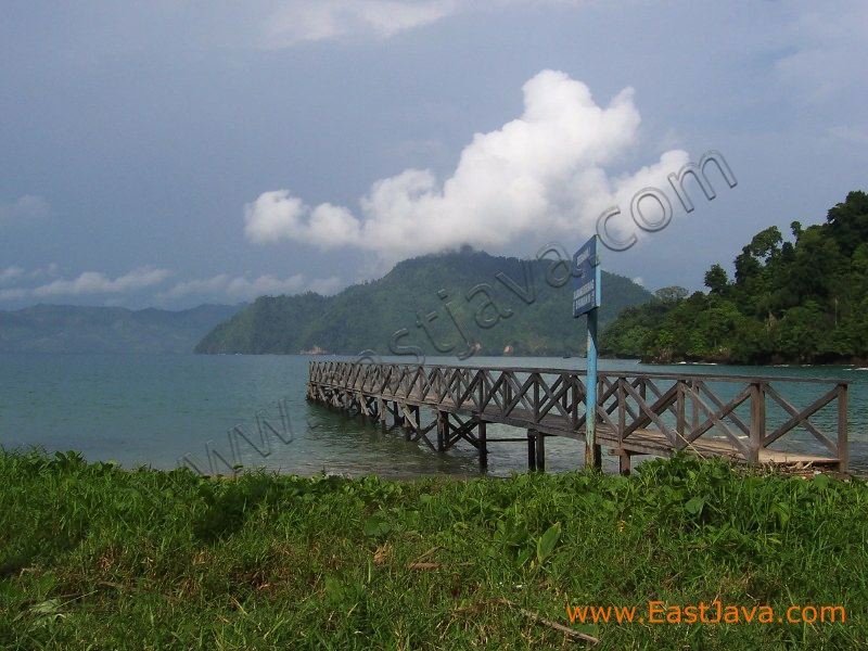 karanggongso_beach_t_3c28cf.jpg
