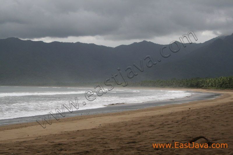 prigi_beach_trenggal_3c28e0.jpg