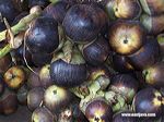 siwalan_fruit_tuban__3c2b3c