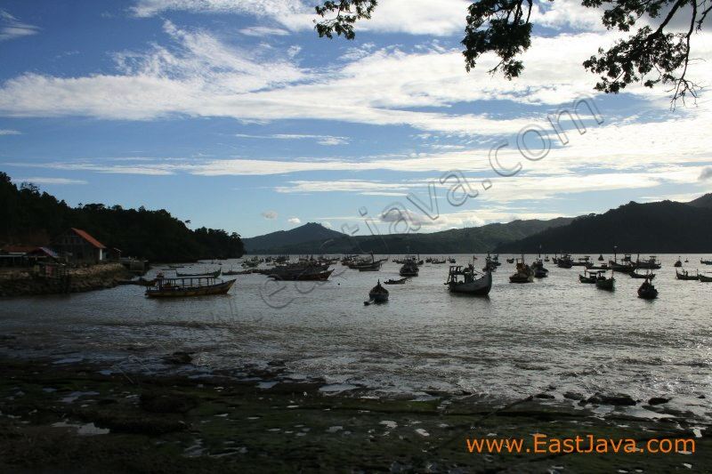 popoh_beach_tulungagung_1.jpg