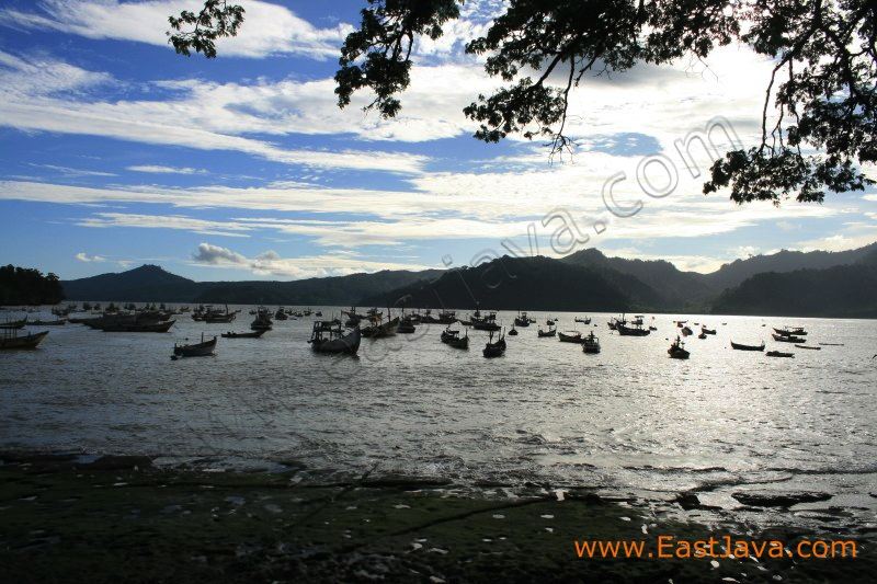 popoh_beach_tulungagung_2.jpg