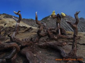 ijen_crater_east_jav_3c1b18.jpg