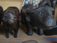 edelweis-expedisi-toraja-101