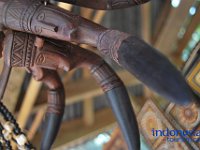 edelweis-expedisi-toraja-106