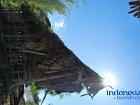 edelweis-expedisi-toraja-135