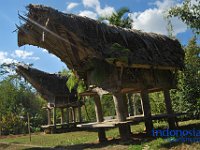 edelweis-expedisi-toraja-141