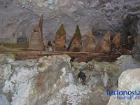 edelweis-expedisi-toraja-149