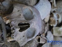 edelweis-expedisi-toraja-154