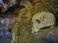 edelweis-expedisi-toraja-155