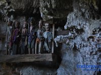 edelweis-expedisi-toraja-157