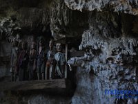edelweis-expedisi-toraja-162