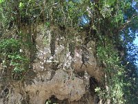 edelweis-expedisi-toraja-167