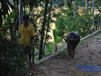 edelweis-expedisi-toraja-183