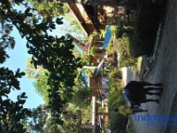 edelweis-expedisi-toraja-185