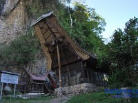 edelweis-expedisi-toraja-195