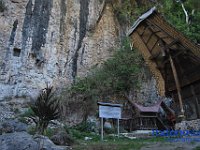 edelweis-expedisi-toraja-196