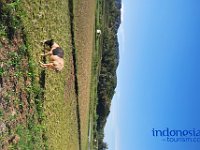edelweis-expedisi-toraja-201