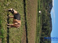 edelweis-expedisi-toraja-203