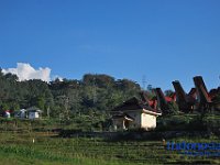 edelweis-expedisi-toraja-217