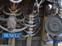edelweis-expedisi-toraja-51