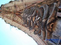 edelweis-expedisi-toraja-53
