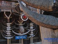 edelweis-expedisi-toraja-55