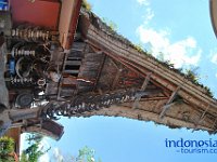 edelweis-expedisi-toraja-57