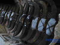 edelweis-expedisi-toraja-59