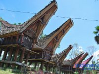 edelweis-expedisi-toraja-60