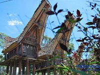 edelweis-expedisi-toraja-61