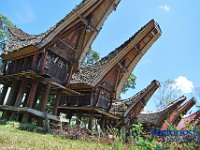 edelweis-expedisi-toraja-62