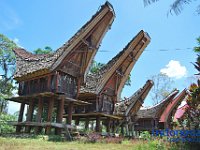 edelweis-expedisi-toraja-63