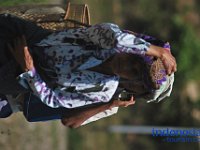 edelweis-expedisi-toraja-71