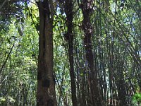 edelweis-expedisi-toraja-80