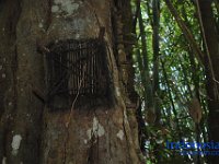 edelweis-expedisi-toraja-88