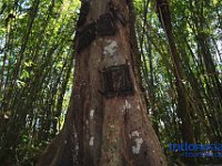 edelweis-expedisi-toraja-90