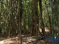 edelweis-expedisi-toraja-91