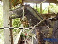 kanan-kanan-toraja-04