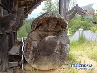 paladan-toraja-03