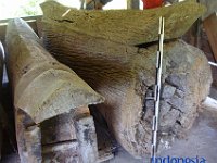 tedong-tedong-toraja-01