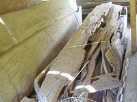 tedong-tedong-toraja-02