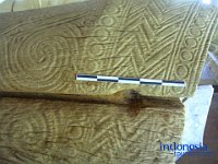tedong-tedong-toraja-03