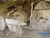 tedong-tedong-toraja-07