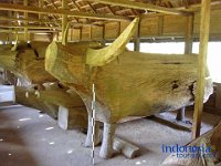 SITUS TEDONG-TEDONG
