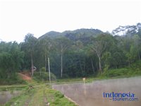 palatokke-tana-toraja-06